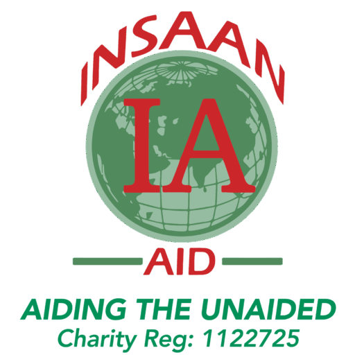 insaan logo 1